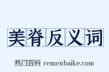 美脊反义词是什么意思的图片